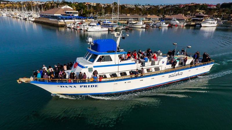 17201399_1280786522000684_5829464992845501650_n