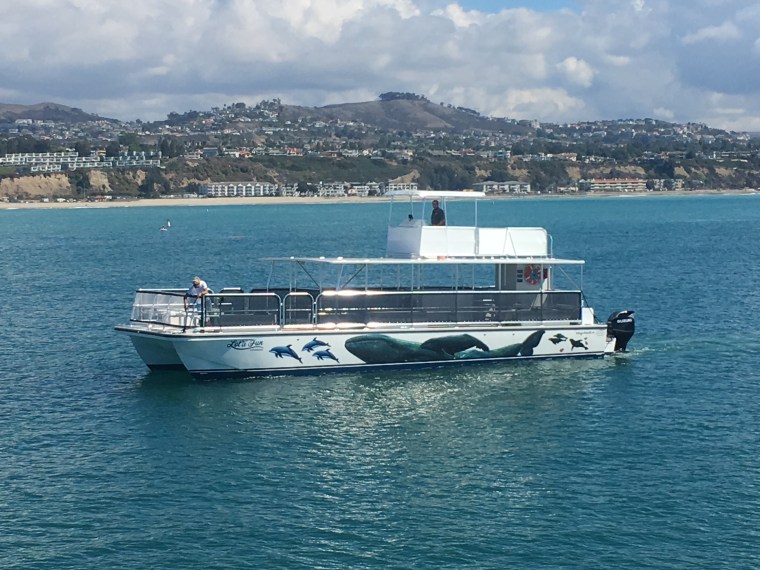Lot' A Fun on calm water off Dana Point