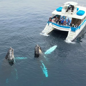 a small boat in a body of water