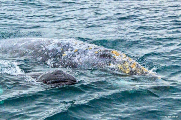 a large body of water