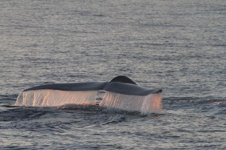 a ship in a body of water