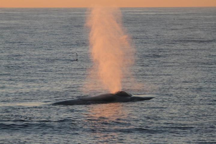 a man riding a wave on top of a body of water