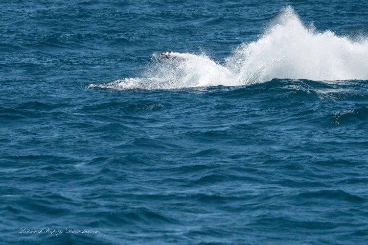 a man riding a wave on a surfboard in the ocean