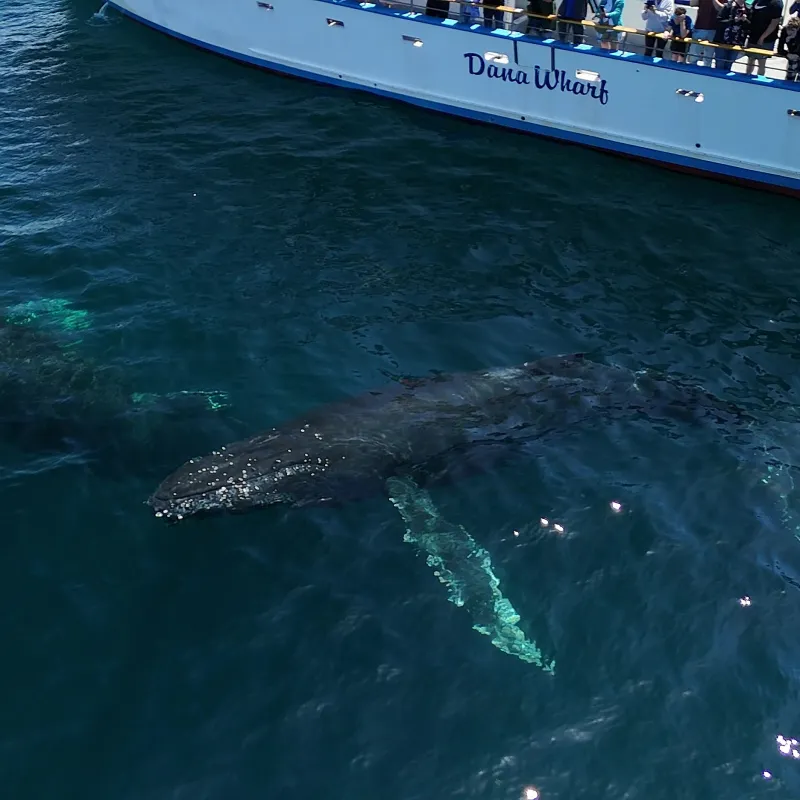 a large ship in the water