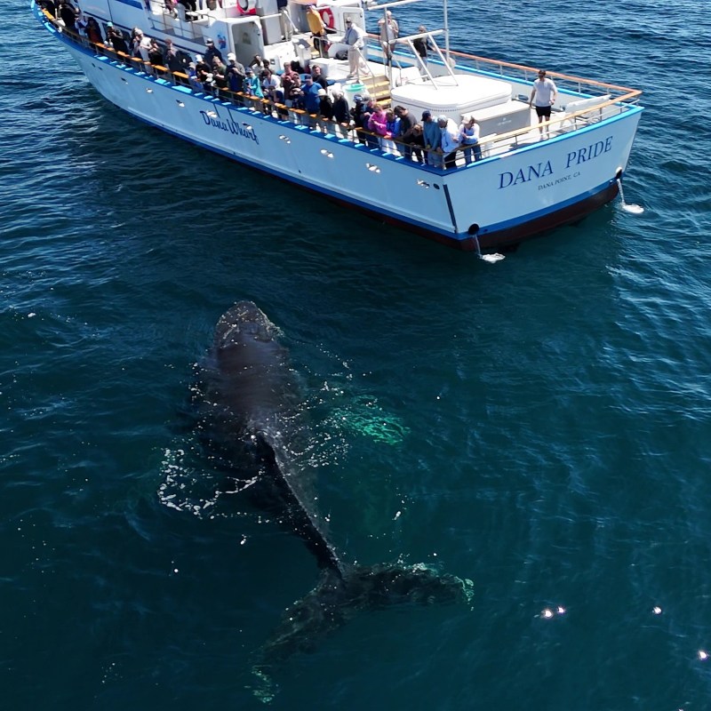 a small boat in a large body of water