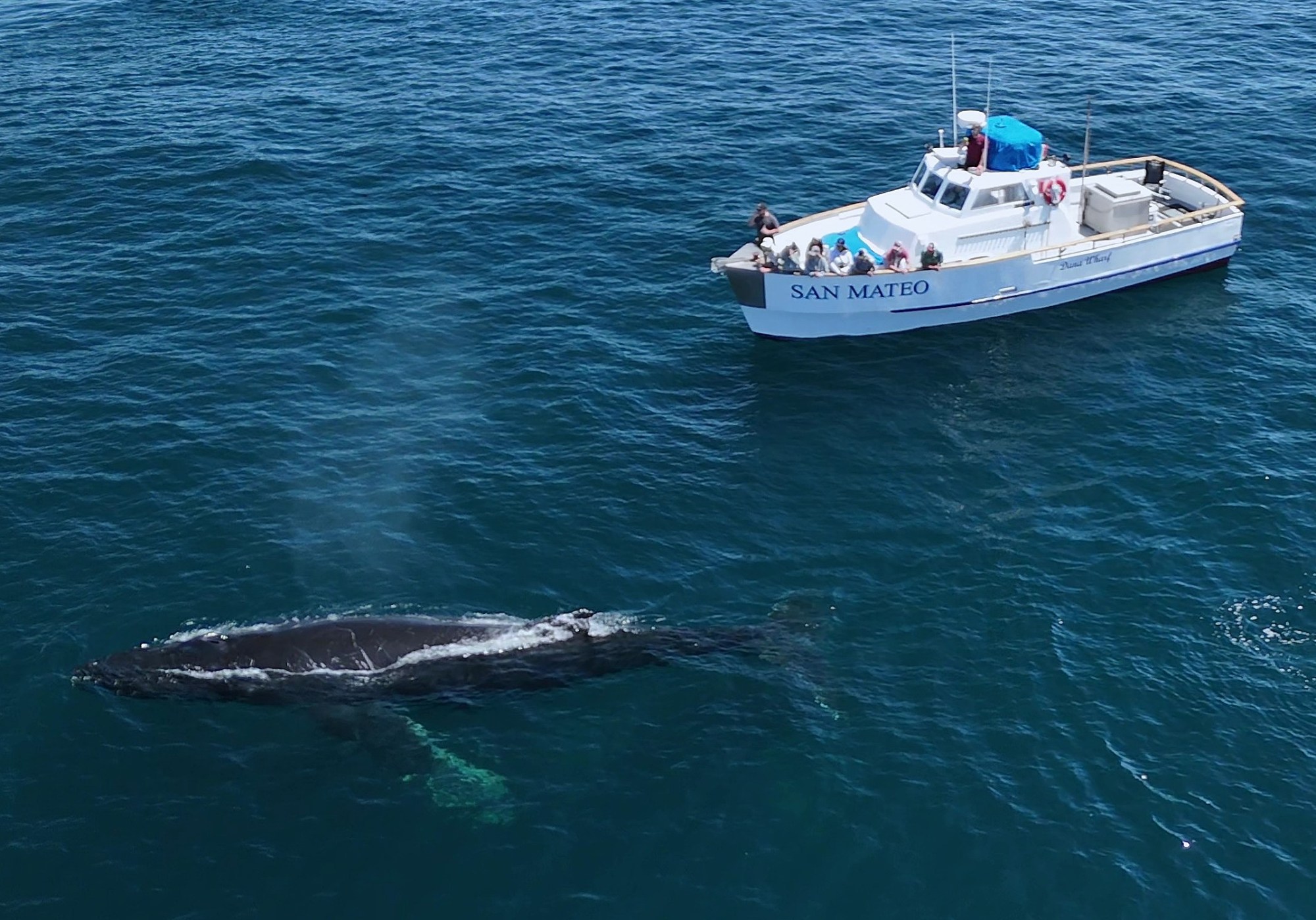 a small boat in a large body of water