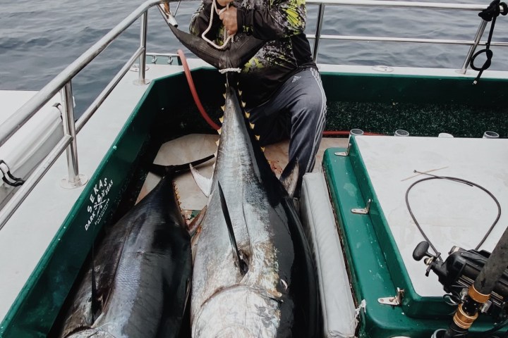 a person holding a fish on a boat in the water