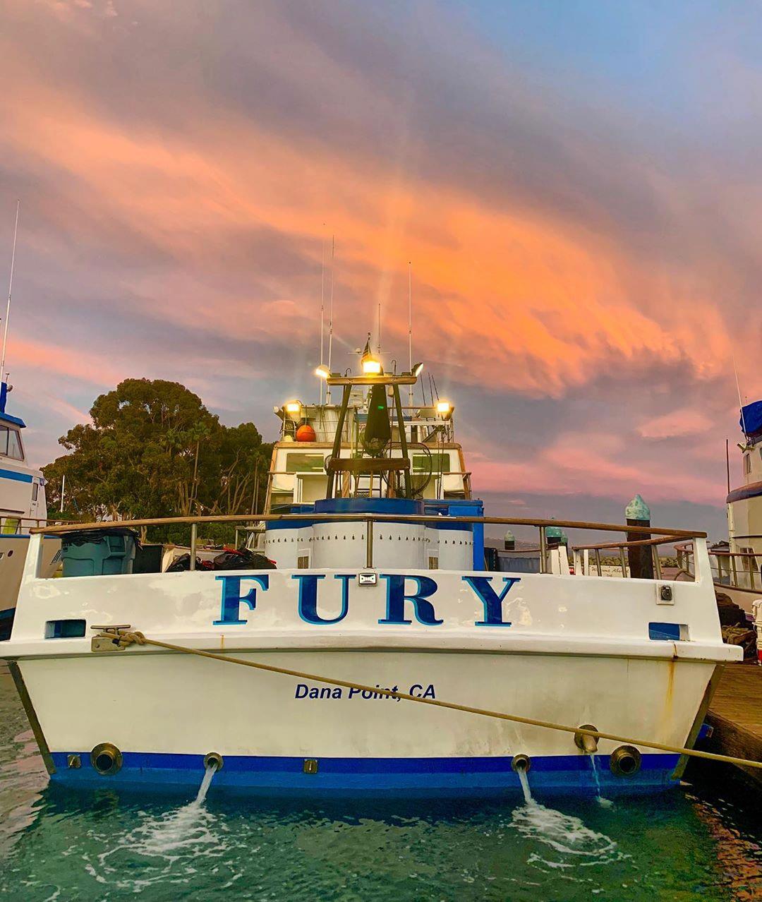 Fury