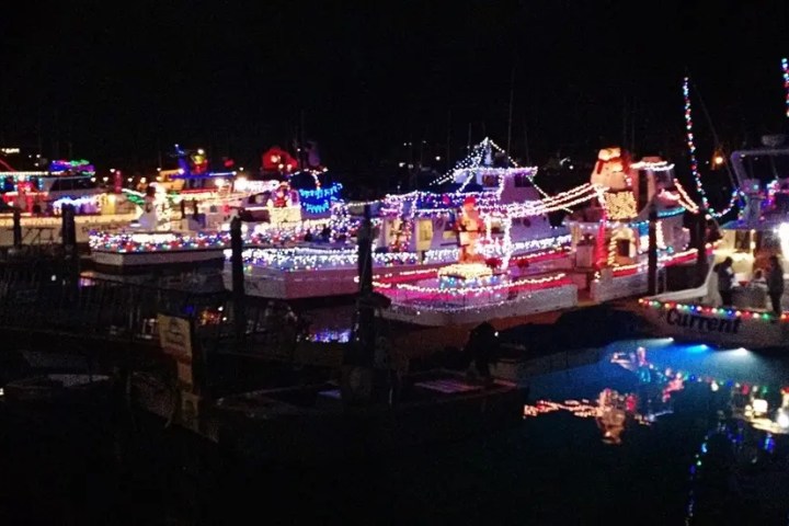 Boats decorated with colorful Christmas lights at night on water.