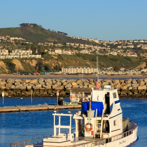 A boat named Reel Fun on calm water near a rocky shore and hilly backdrop.