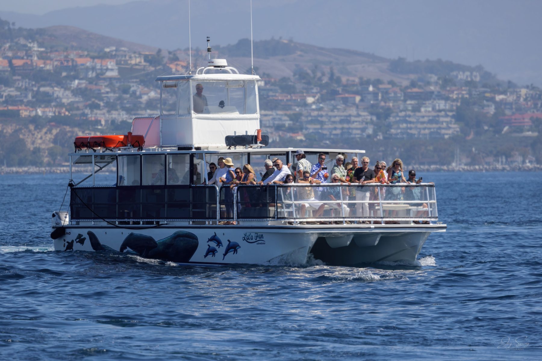 The Lot'a Fun catamaran with its Wyland artwork