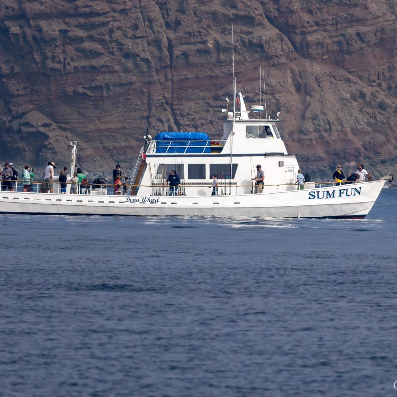 a large ship in a body of water with a mountain in the background