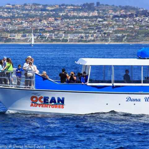 a blue and white boat floating on a body of water