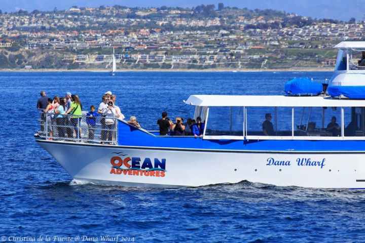 a blue and white boat floating on a body of water