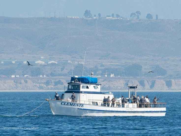 The Clemente at sea with passengers along the rail