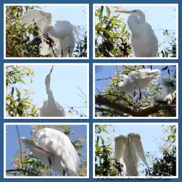 a close up of many different vegetables on display