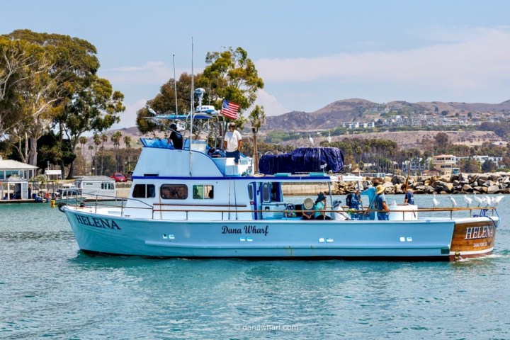 Blue and white tour boat named Helena on a calm sea near a rocky shoreline.