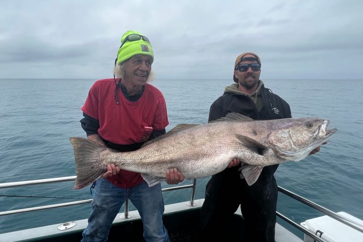 a person holding a fish in the water