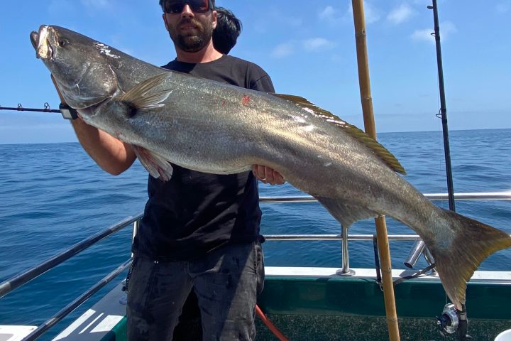 a man holding a fish in the water