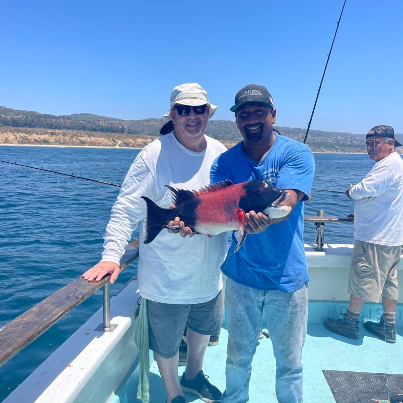 a couple of people that are standing in the water