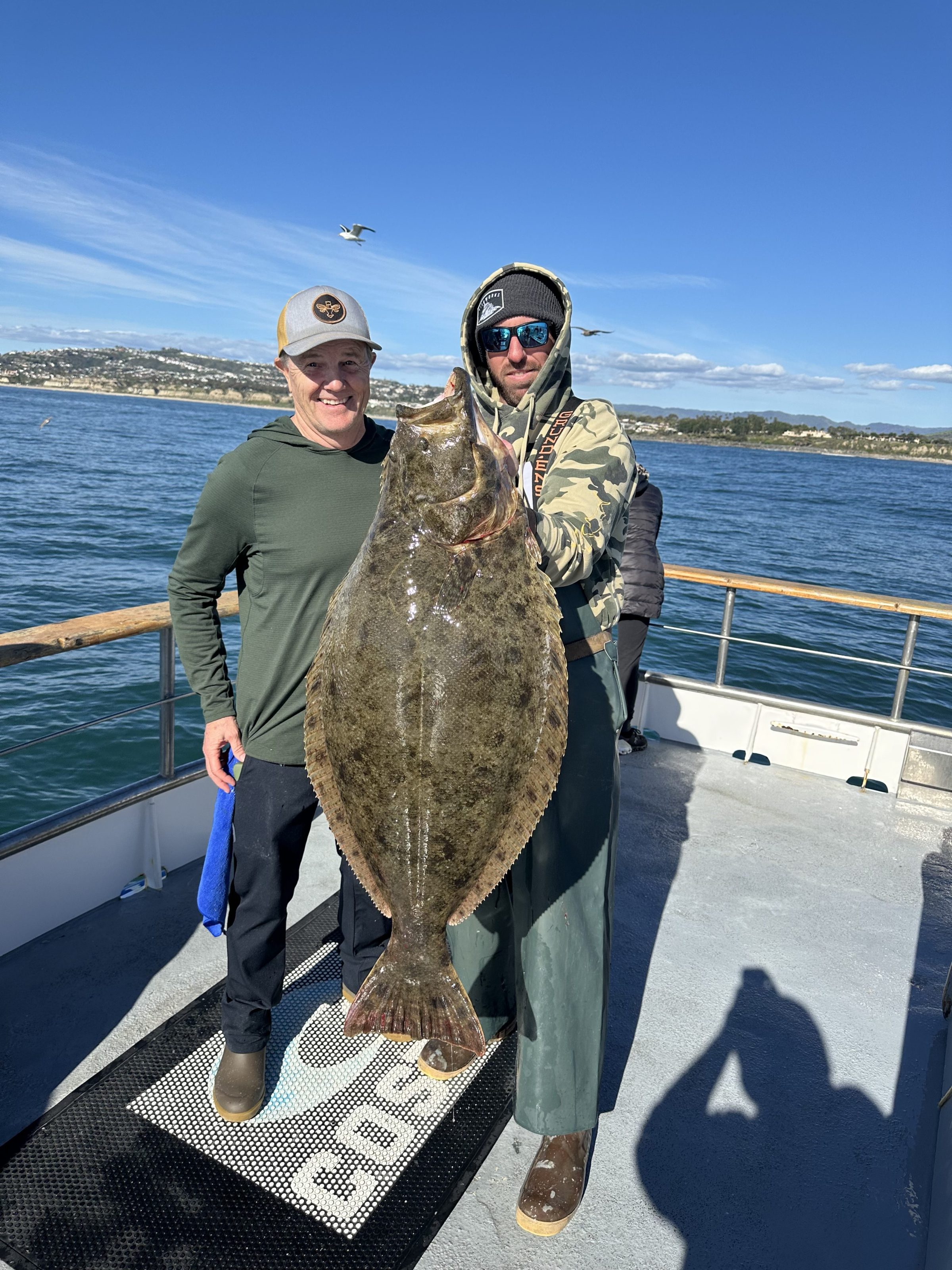Two men on a boat holding a large fish on a sunny day with seagulls in the sky.