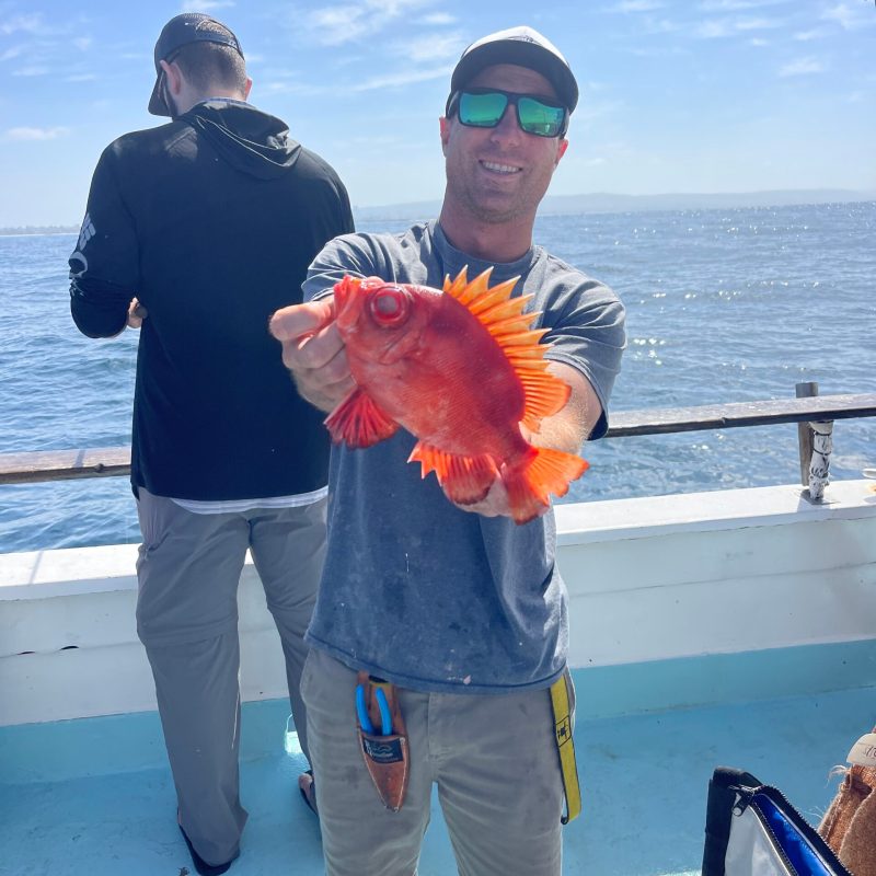a person holding a fish in the water