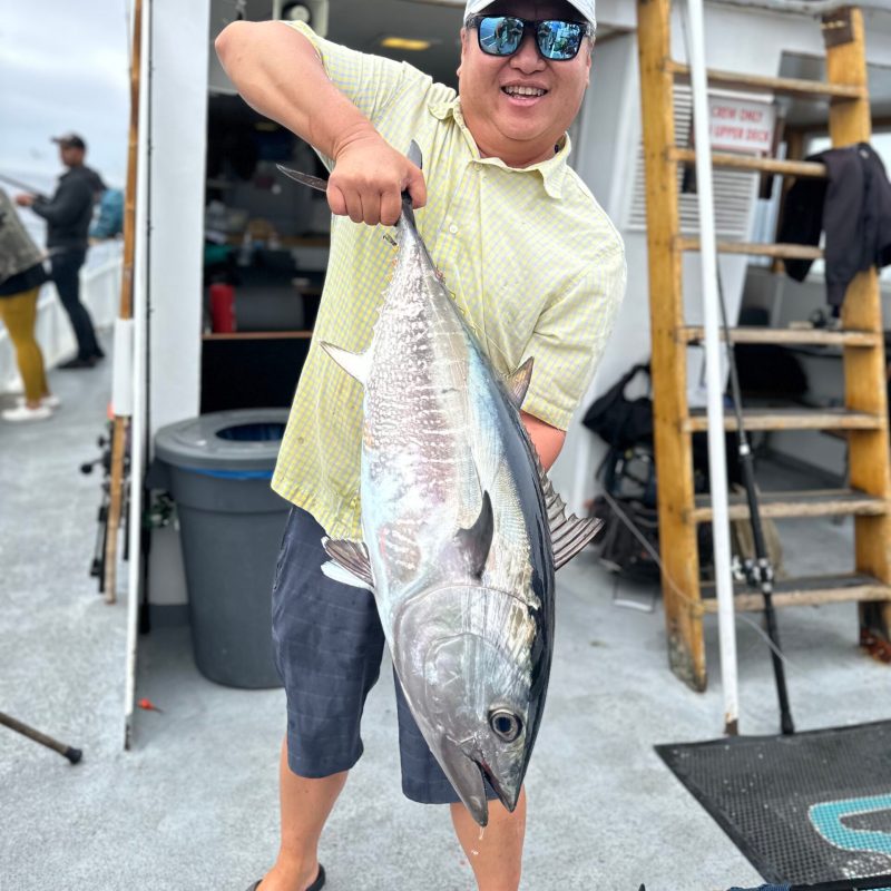 a person holding a fish