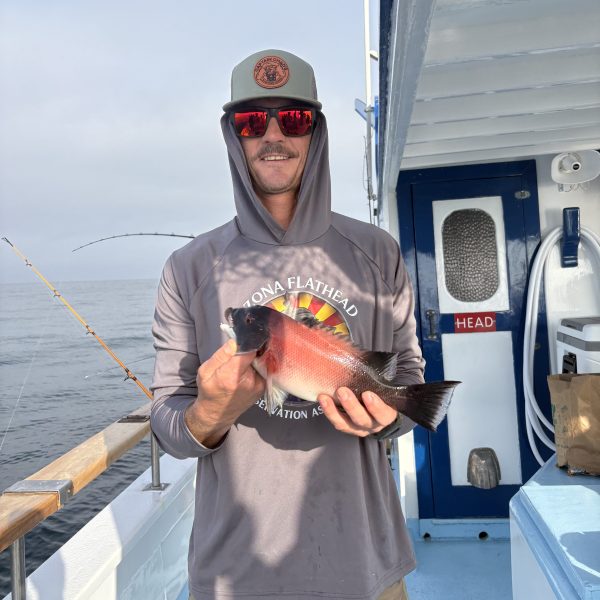Person holding a fish on a boat, wearing a cap and sunglasses.