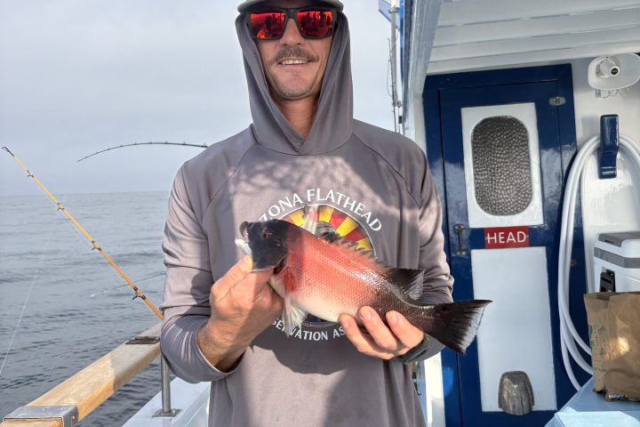 Person holding a fish on a boat, wearing a cap and sunglasses.