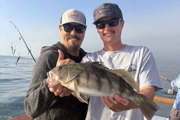 Two men on a boat holding a large fish, smiling at the camera.
