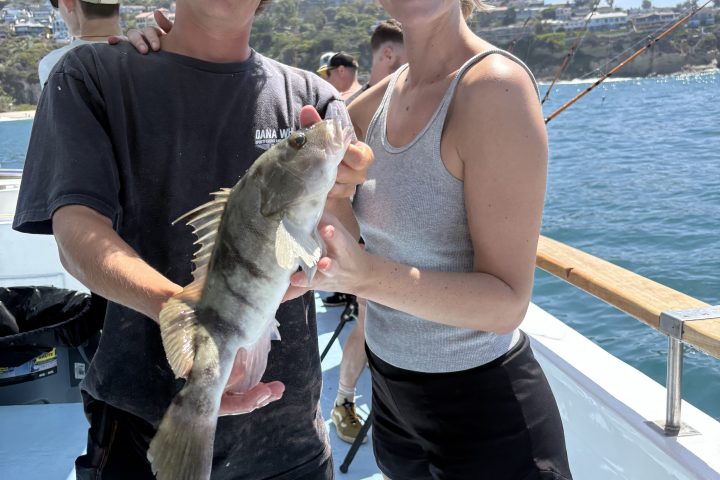Two people on a boat holding a fish with a scenic coastline in the background.