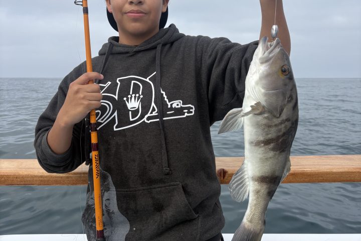 Person holding a fishing rod and a caught fish on a boat.