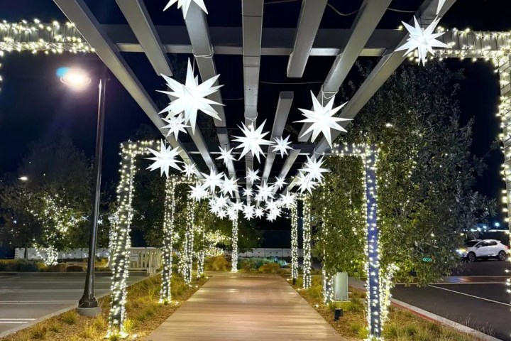 Pathway with star-shaped lights and string lights on beams at night.