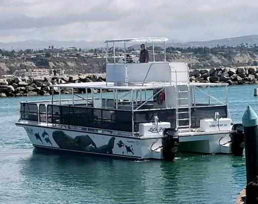 Lot' A Fun at the dock in Dana Point Harbor