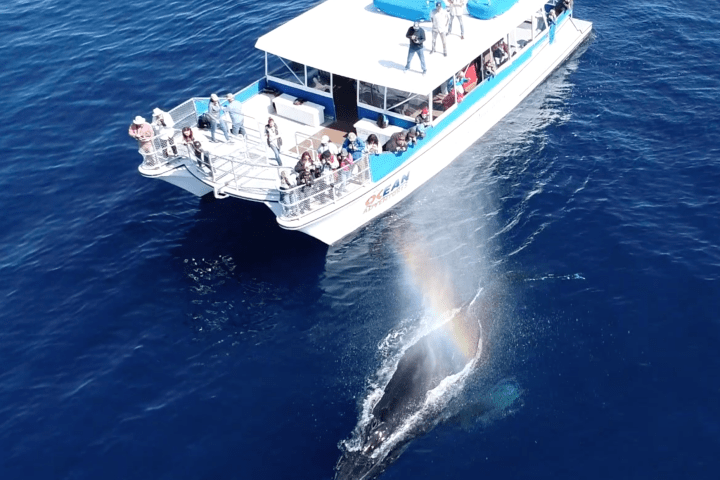 a boat that is floating in the water