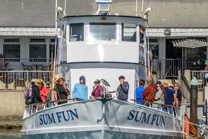 Sum Fun whale watching charter