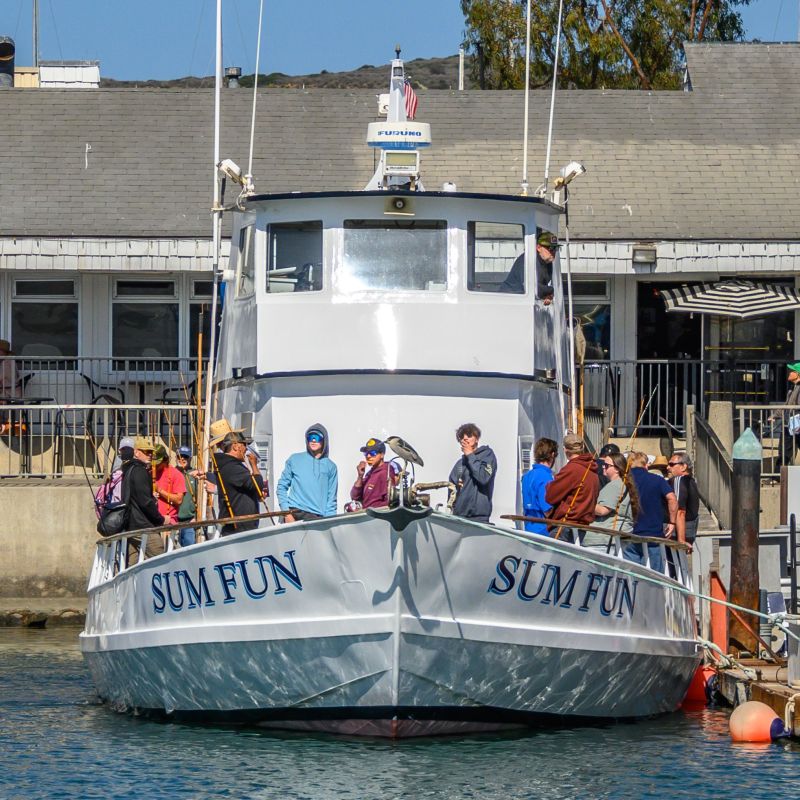 Sum Fun whale watching charter