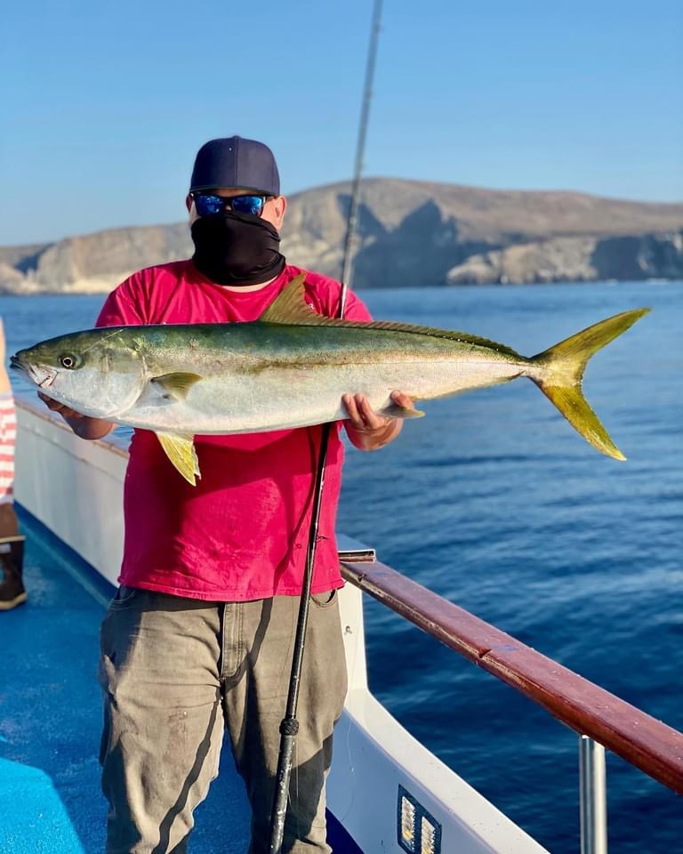 a person holding a fish in the water