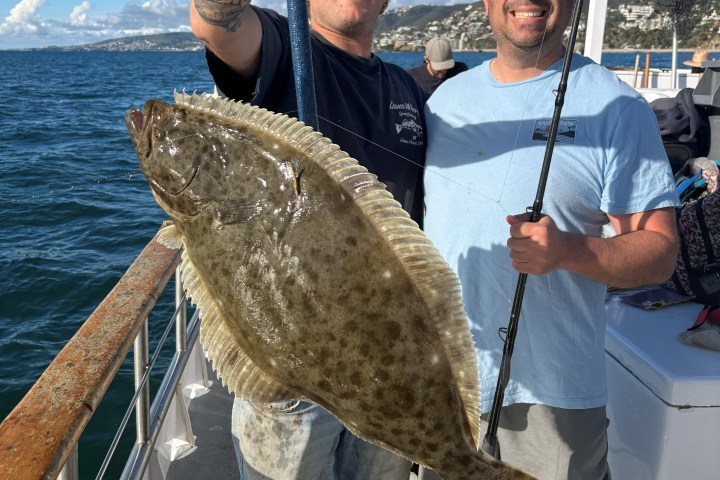 Two men on a boat holding a large fish with a blue sky and ocean in the background.