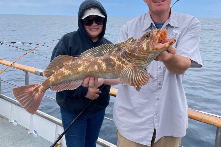 a person holding a fish in the water