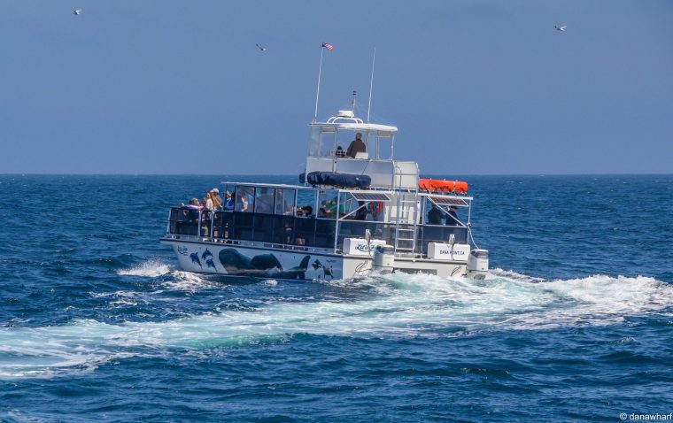 Lot' A Fun under way with passengers on deck