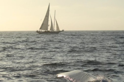 a boat on a body of water next to the ocean