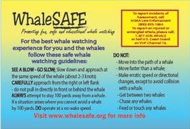 a screenshot of a cell phone