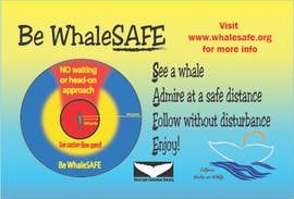 a screenshot of a cell phone