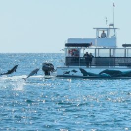 a small boat in a large body of water