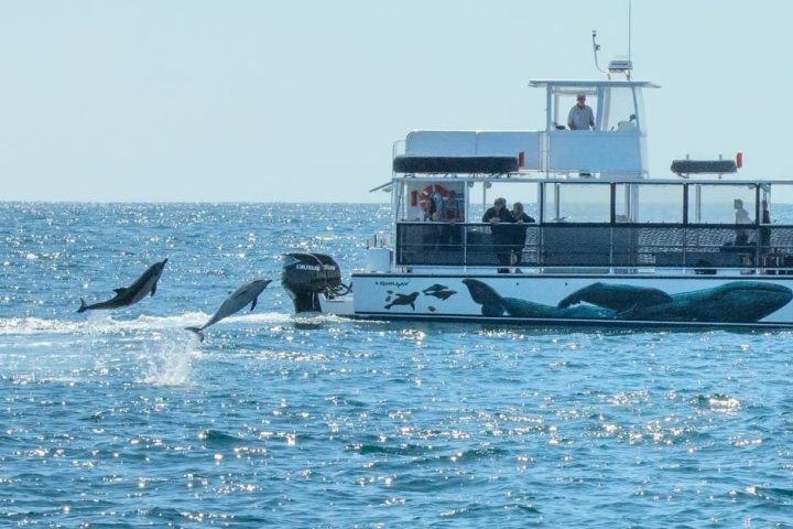 a small boat in a large body of water