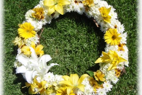 a close up of a flower