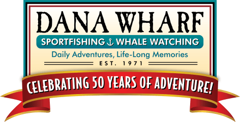 Dana Wharf