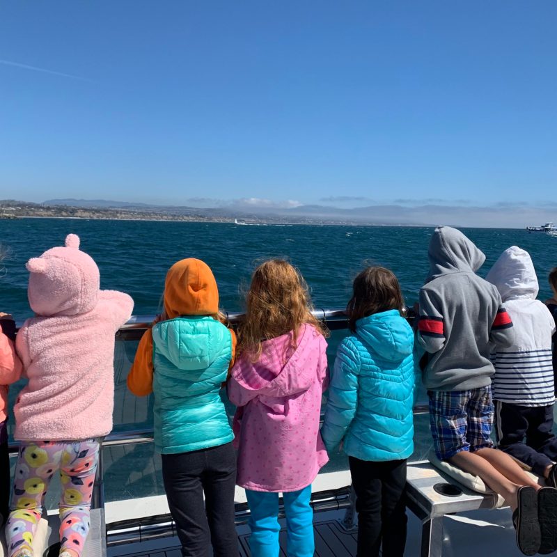 Dana Wharf Field Trip