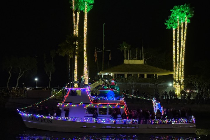Boat adorned with colorful lights near palm trees wrapped in lights at night.